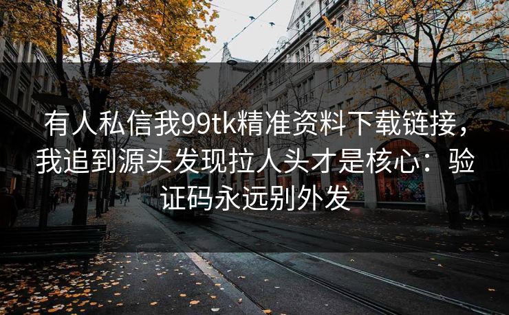 有人私信我99tk精准资料下载链接，我追到源头发现拉人头才是核心：验证码永远别外发