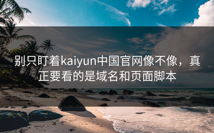 别只盯着kaiyun中国官网像不像，真正要看的是域名和页面脚本