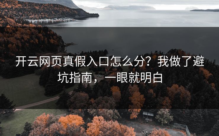 开云网页真假入口怎么分？我做了避坑指南，一眼就明白