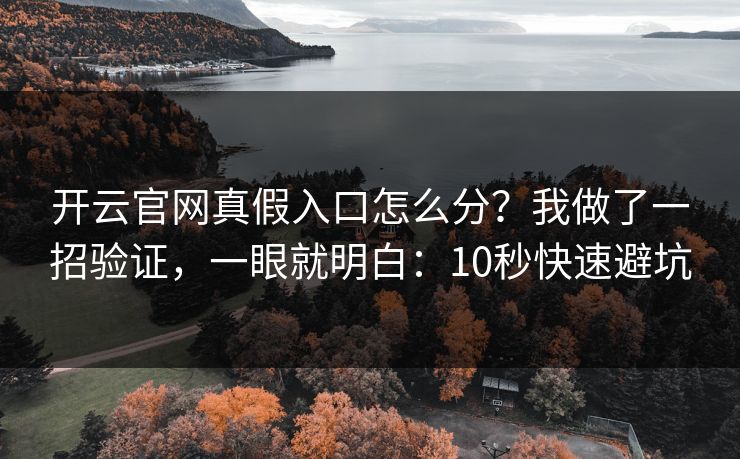 开云官网真假入口怎么分？我做了一招验证，一眼就明白：10秒快速避坑